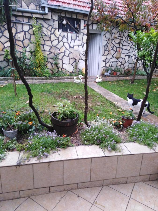 Janina Hisa Apartment Stolac Exterior photo